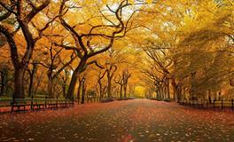 狮子座最无法接受的打击