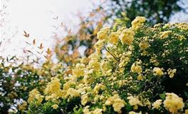 水则堂2018年1月22日生肖运势