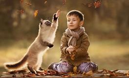 狗年出生宝宝霸气取名