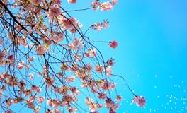 成年人改名如何更显效果？