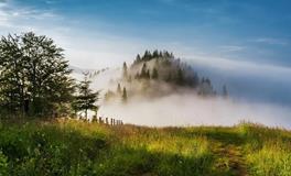 占卜你可以凭借什么优势创造精彩人生