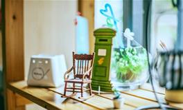 哪些星座善于持家，哪些星座善于养家