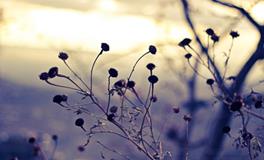 说不了几句话就容易吵起来的星座排行