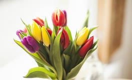 Alex金牛座2018年3月运势