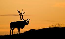 测你的性格适合什么样的工作