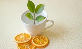 三月份求职运最好的星座