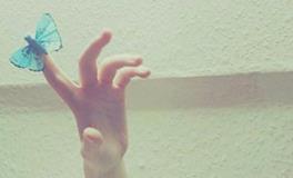 洁身自好，不占人经济便宜的星座