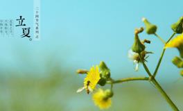 二十四节气之立夏