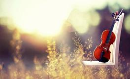 论12星座的情商分别有多高