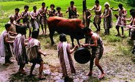 五十六个民族的相关习俗—独龙族