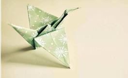 总是好心被人当成驴肝肺的生肖