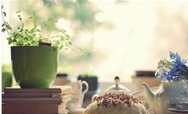 苏珊米勒:今日运势2018年4月29日