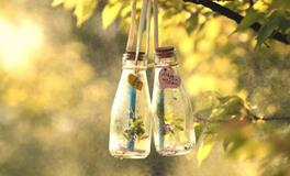 苏珊米勒:今日运势2018年5月7日