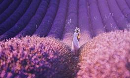 紫微14主星一周运势（5.7-5.13）