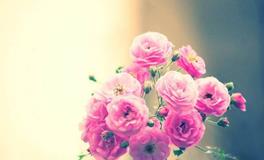 黛比弗兰克:金牛座2018年5月运势