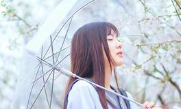 上辛灵学:白羊座2018年5月运势