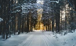 巨蟹座的幸运日是哪一天