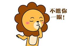 狮子座一直在这里，等风也等你