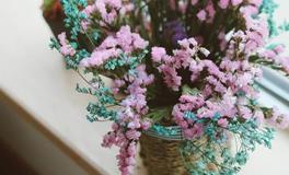 肖百奇2018年6月生肖蛇运势