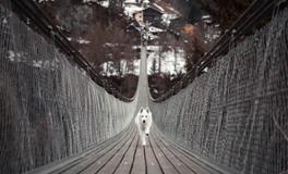 梦见狗咬狗是什么意思