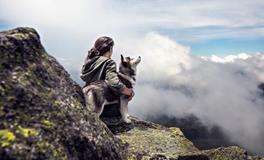 孕妇梦到狗是什么意思