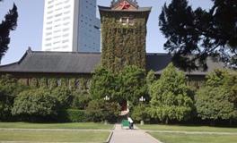 塔罗牌,占卜,你能考上心仪的学校么？