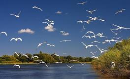 水则堂:2018年6月17日生肖运势