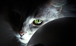 陈鹏解梦说习俗之邪门的阴阳眼