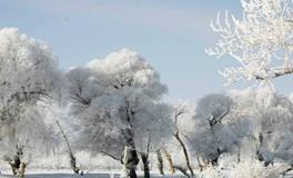 大雪养生，大雪应该吃什么？