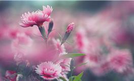 2018下半年这些人的桃花运最旺