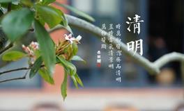 清明的诗句，最经典的十首清明诗词