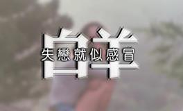 十二星座一句话图集