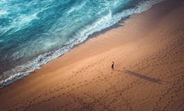 紫微14主星一周运势（7.9-7.15）