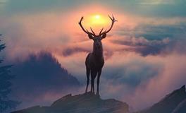 洁安生命灵数一周运势（7.9-7.15）