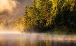 AB血型一生的变化