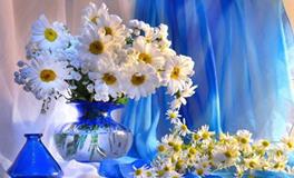 七月顺风顺水，有求必应的生肖