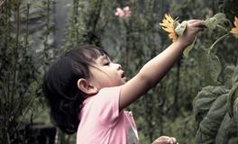 姓薛女孩起名大全