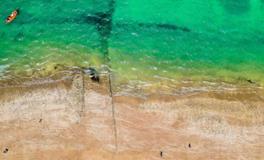 梦见毒蛇是什么意思