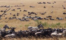 B型血该如何适应新环境