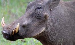 B血型君旅游装逼装备最齐全