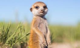 AB型血是否适合当自驾游伙伴