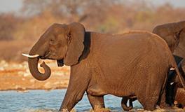 B型血忘记一个人要多久