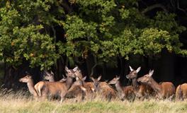 AB血型君点外卖有啥习惯？
