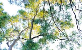 男人梦见很多蛇是什么意思