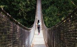 做梦梦到大蛇是什么意思