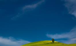 孕妇梦见地上很多小蛇