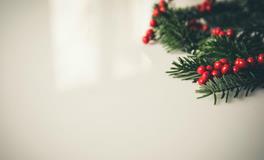 孕妇梦到小蛇是什么意思