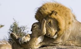 O血型君的聊天习惯