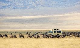 AB血型的人潜力大吗？