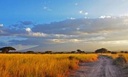 A血型君有什么怪癖